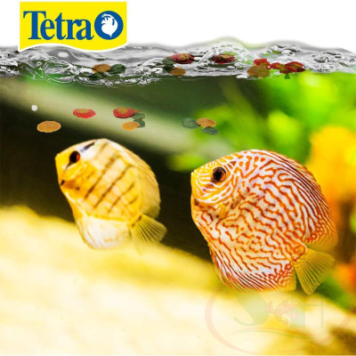 Thức ăn cá Tetra TetraPro Tropical Color Crisps dinh dưỡng tăng màu tiêu hóa cá tép cảnh