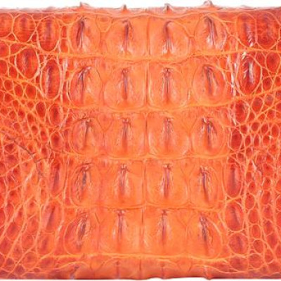 Ví Nữ Huy Hoàng HT3201 (10.5 x 19 cm) - Vàng