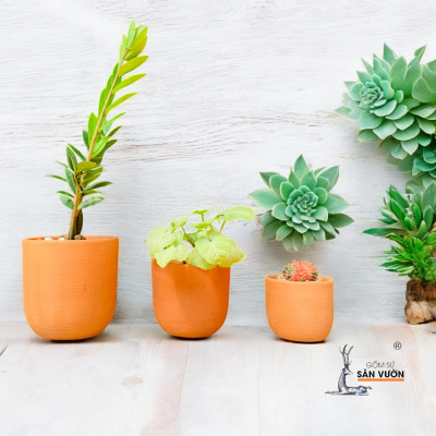 Bộ 3 Chậu Gốm Đất Nung Để Bàn Vân Da Rắn