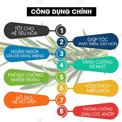 Tinh Dầu Hương Thảo 100ml Kobi Giảm Rụng Tóc, Giảm Đau Nhức, Có Khả Năng Kháng Khuẩn