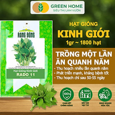 Hạt Giống Rau Kinh Giới, Bao 1gr~1800 hạt, Dễ Trồng, Nảy Mầm Cao, Thu Hoạch Nhanh, Năng Suất Cao G12