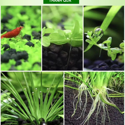 Sứ Lọc Bể Cá túi 1KG + Phân nền SMEKONG 2KG trồng cây thủy sinh hồ cá