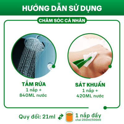 Combo 6 Dung dịch diệt khuẩn đa năng Dettol 1L