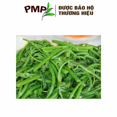 Hạt Giống Bí Siêu Ngọn PMP