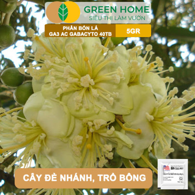 Phân Bón Lá GA3 Greenhome, 40TB, Viên 5gr, Dạng Sủi Tiết Kiệm, Thúc Đẩy Ra Đọt, Bông Lớn, Trái To