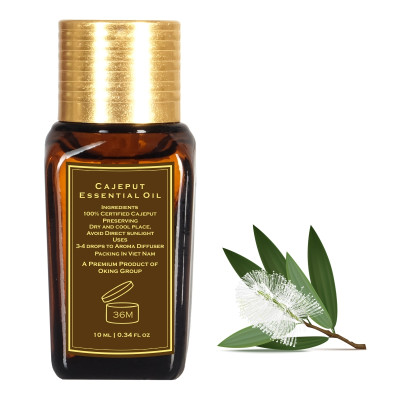 Tinh dầu xông phòng tràm nguyên chất 10ml (Cajeput)