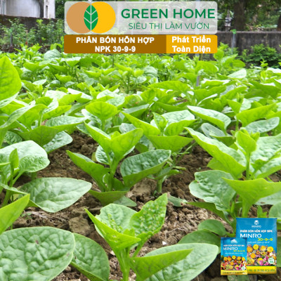 Phân NPK 30-9-9 +TE Greenhome, Minro, Bao 200gr, Phát Triển Nhanh Thân, Cành, Lá, Bộ Rễ Trên Kiểng, Cây Ăn Trái, Củ, Quả