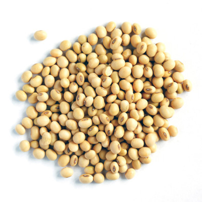 ĐẬU NÀNH SẤY GIÒN THƠM NGON THƯƠNG HIỆU SK FOOD - HŨ 500G