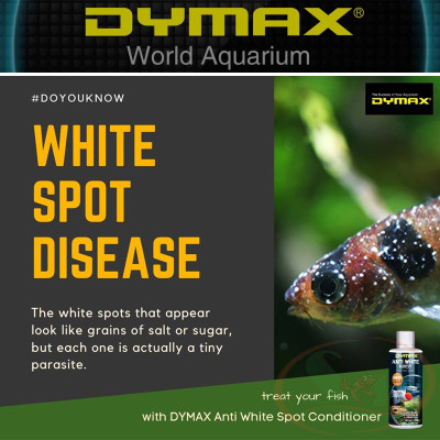 Trị đốm trắng Dymax Anti White Spot xử lý diệt nấm khuẩn bể cá tép thủy sinh nước biển