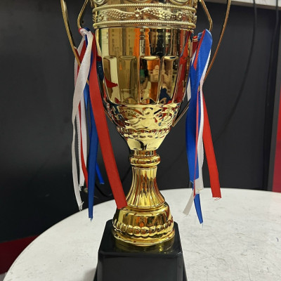 Cúp thể thao A238 , cúp vô địch cao 34cm bằng nhựa cứng kèm dây tua rua đẹp mắt, cúp trao giải giá rẻ