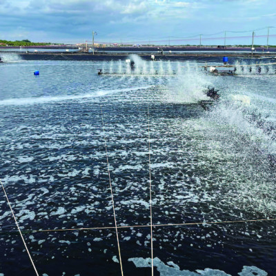 Selen hữu cơ cho tôm cá SELEN PRO