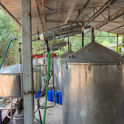 Tinh dầu Gỗ Đàn Hương 50ml Mộc Mây - tinh dầu thiên nhiên nguyên chất 100% - chất lượng và mùi hương vượt trội - Có kiểm định - Hương ngọt ngào, trầm, dai dẳng, quyến rũ nồng ấm từ loài gỗ quý hiếm nhất thế giới…