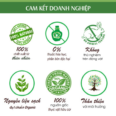 Tinh dầu Sả Chanh Organic nguyên chất từ thiên nhiên, Xuât khẩu thị trường Mỹ, Thơm Phòng, Khử Mùi, Xông Phòng, Đuổi Muỗi, Kháng Khuẩn - KingOil