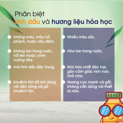 Tinh dầu sả chanh nguyên chất Vivian 10ml có kiểm định chất lượng
