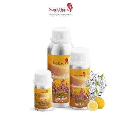 Tinh dầu Ice Age - ScentHomes ( Ice Age - 50ml,100ml,250ml)