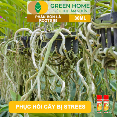 Phân Kích Rễ Cực Mạnh ROOTS 95, GreenHome, Chai 30ml, Kích Ra Rễ Cực Mạnh Chuyên, Cho Hoa Lan