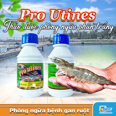 Chế phẩm thảo dược Pro Utines – Giảm nguy cơ phân trắng cho tôm cá