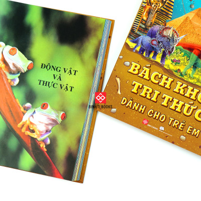 Sách Thiếu Nhi – Bách Khoa Tri Thức Dành Cho Trẻ Em – Đinh Tị