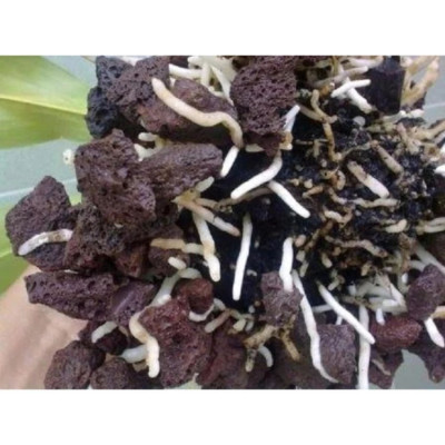 Đá Nham Thạch 2KG + Phân nền S.MEKONG túi 2KG cho hồ thủy sinh