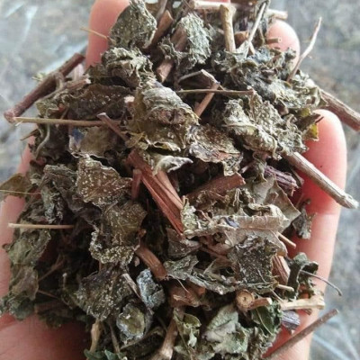 Chè dây túi lọc ( Mỗi hộp gồm 30 gói 5g) - Dùng cho các vấn đề dạ dạy, ợ hơi ợ chua HP...