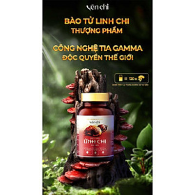Viên uống sức khỏe YÊN CHI BÀO TỬ NẤM LINH CHI PHÁ VÁCH DAMODE lọ 60 viên