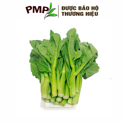 Hạt Giống Cải Ngồng PMP 5g