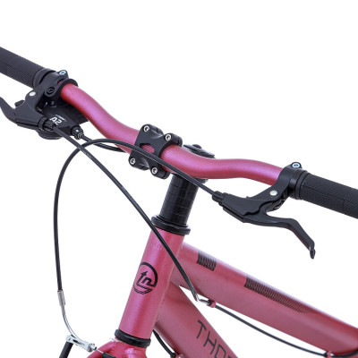 Xe đạp Thống Nhất thể thao GN06 2.0 pro Blackpink phiên bản đặc biệt