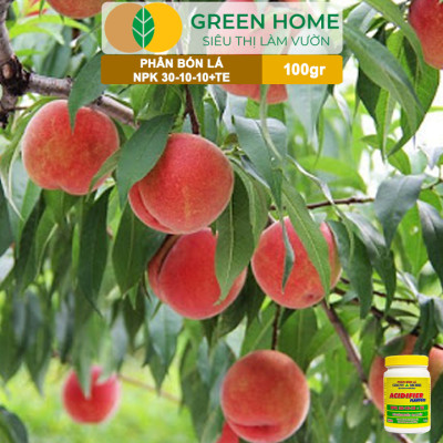 Phân Bón Lá Grow More NPK 30-10-10, GreenHome, Chai 100GR, Đẻ Nhánh Khỏe, Ra Lá Tốt