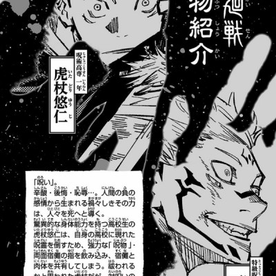 Jujutsu Kaisen 2 (Japanese Edition)