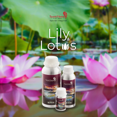 Tinh dầu Lily Water and Lotus - ScentHomes (Lily Water and Lotus - 50ml,100ml,250ml)