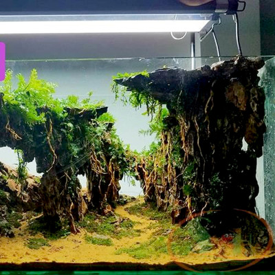 Cát Nắng Vàng 1.2KG trải nền bể cá thủy sinh, hạt to làm thác suối cát, vật liệu lọc nước, trang trí hồ cá, tiểu cảnh siêu đẹp, khử asen, tạp chất có trong nước sinh hoạt hàng ngày