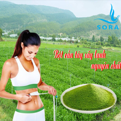 Sora Bột cần tây sấy lạnh nguyên chất