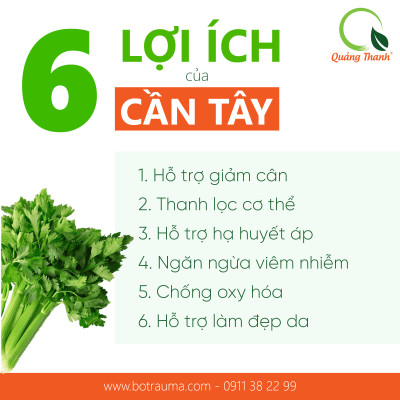 [CHÍNH HÃNG] Bột Cần Tây Sấy Lạnh Nguyên Chất Quảng Thanh Hộp 45gr - Hỗ trợ giảm cân, giảm mỡ bụng, giảm mụn, giảm gút