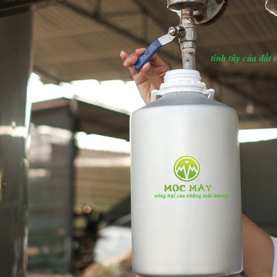 Tinh dầu Gừng 50ml nguyên chất từ thiên nhiên - Mộc Mây