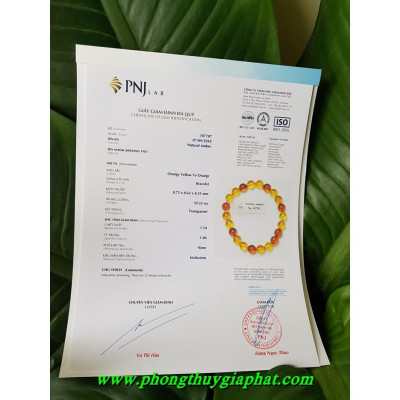 VÒNG ĐEO TAY HỔ PHÁCH