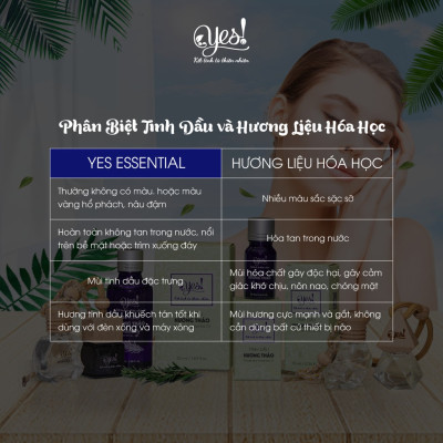 TINH DẦU TRÀM GIÓ YES! (CAJEPUT ESSENTIAL OIL)