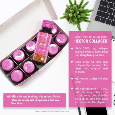 Combo 2 Hộp (20 Chai) Nước Đông Trùng Hạ Thảo Hector Collagen