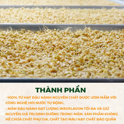 Mầm Đậu Nành Nguyên Xơ (MS) Tăng Vòng 1, Cải Thiện Nội Tiết Phụ Nữ (500g)