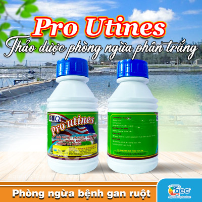 Chế phẩm thảo dược Pro Utines – Giảm nguy cơ phân trắng cho tôm cá