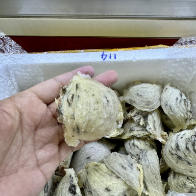 Yến Khánh Hòa - Yến Thô Đảo [Hộp 50g] - Đệ Nhất Yến Đảo - Tăng cường sức đề kháng - Bổ phổi - Hỗ trợ điều trị ung thư - Điều hòa huyết áp - Cải thiện giấc ngủ - Bổ khí dưỡng nhan - Tăng cường sinh lực nam nữ