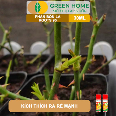 Phân Kích Rễ Cực Mạnh ROOTS 95, GreenHome, Chai 30ml, Kích Ra Rễ Cực Mạnh Chuyên, Cho Hoa Lan