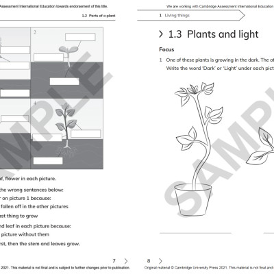 Cambridge Primary Science Workbook 1 With Digital Access (1 Year) 2nd Edition
