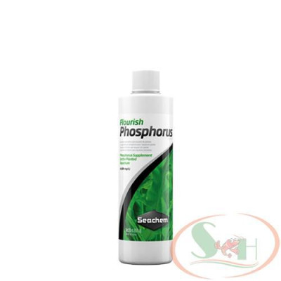 Phân nước Seachem Flourish Phosphorus 100ml, 250ml, 500ml bổ sung P+ phosphate po4 bể thủy sinh