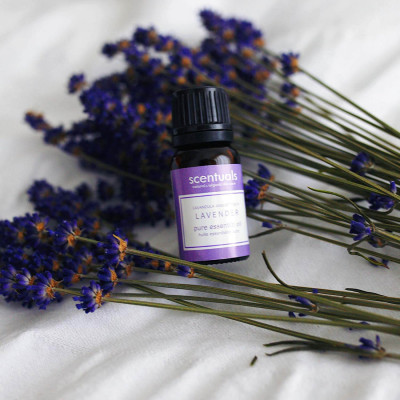 Tinh dầu oải hương - Pure essential oil 10 ml - LAVENDER