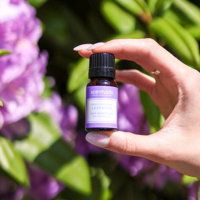 Tinh dầu oải hương - Pure essential oil 10 ml - LAVENDER