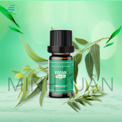 Tinh dầu khuynh diệp Vivian 10 ml