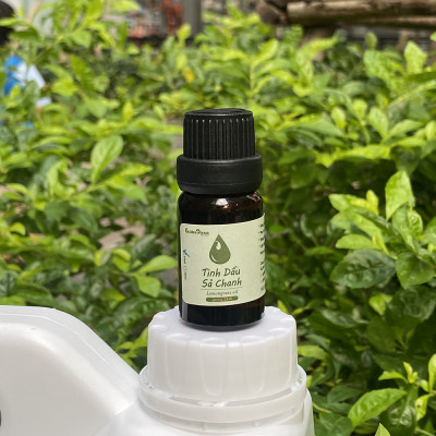 Tinh Dầu Sả Chanh Golden Dream 10ML Nguyên Chất 100% Thiên Nhiên Việt Nam, Tự Hào Nông Sản Việt