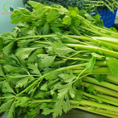 Bột Cần Tây Sấy Lạnh Nguyên Chất Quảng Thanh Túi 50gr  - Hỗ trợ giảm cân, giảm mỡ bụng, giảm mụn, giảm gút