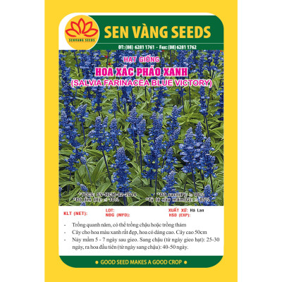 Hạt giống Hoa Xác Phao Xanh thân cao VTS113