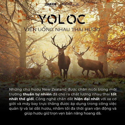 Nhau thai hưu YOLOC lọ 60 viên
